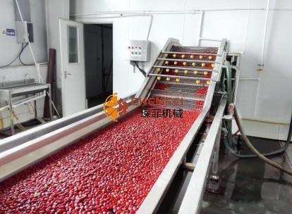 <b>棗/山楂類(lèi)水果加工生產(chǎn)線</b>