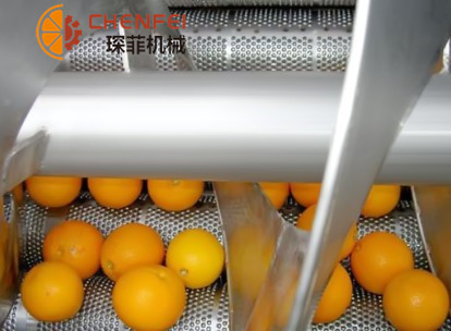 <b>柑橘類(lèi)水果加工生產(chǎn)線</b>